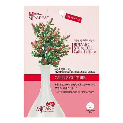 Маска тканевая с экстрактом миротамнуса / MJ Care BSC Resurrection Plant Essence Mask, 25 г